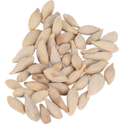 50 graines de citronnier bonsaï comestible, pureté 98%, pousse facile, graines de bonsaï polyvalentes pour jardin maison bureau (1/5)