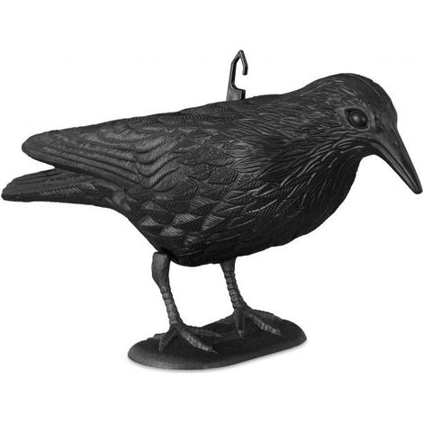 Perching crow bird repellent (1/5)
