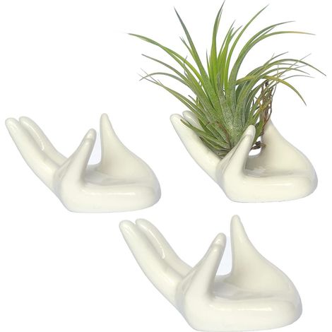 BEBUSINGOTO 3 soportes para plantas de aire, mini soporte para Tillandsia en forma de mano, bonito contenedor para maceta, decoración para el hogar, oficina, estante o regalos, cerámica, blanco (1/3)