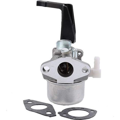 Carburateur 696065 compatible avec Briggs & Stratton 696065 697422 110402-0206-E1 (1/4)