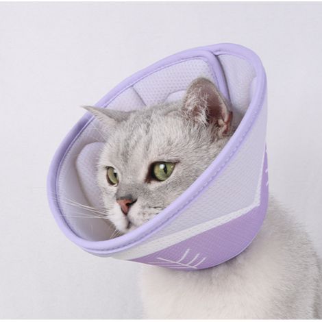 Collier de protection pour animaux de compagnie, respirant et réglable (1/5)