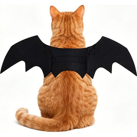 Déguisement d'ailes de chauve-souris pour animaux de compagnie pour Halloween, tenues mignonnes pour les promenades en extérieur pendant les fêtes -- Noir (1/5)
