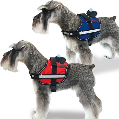 Harnais actif rouge HARNESS XS (1/5)