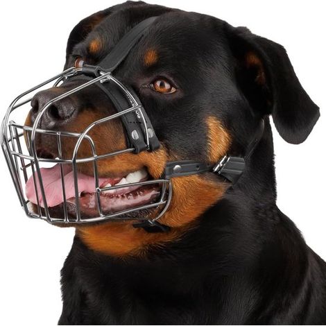 Bozal para perros con forma de cesta de malla metálica, ajustable y de material resistente con correas de sujeción de cuero (1/4)