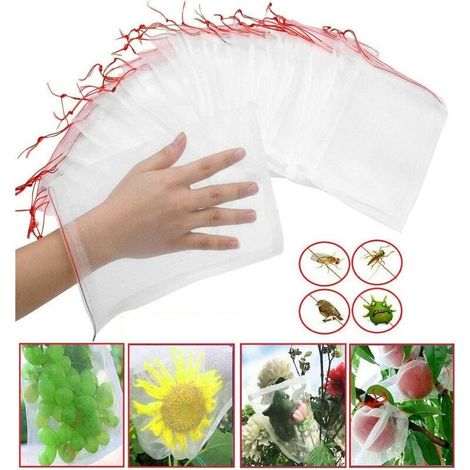 100 pcs Sac de Protection Fruits Résille Nylon Filets pour Jardin Sac de Protection de Raisin 30 x 20 cm pour La Protection des Végétaux Évitez Les Insectes Oiseaux Outils de Jardin (1/4)