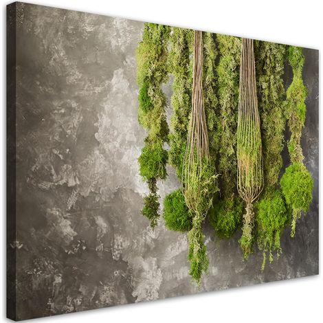 Quadro su tela, Muschio pianta natura - 120x80 (1/5)