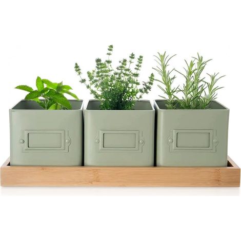 Coprivaso per erbe aromatiche su supporto verdastro, 4 pezzi. (1/5)