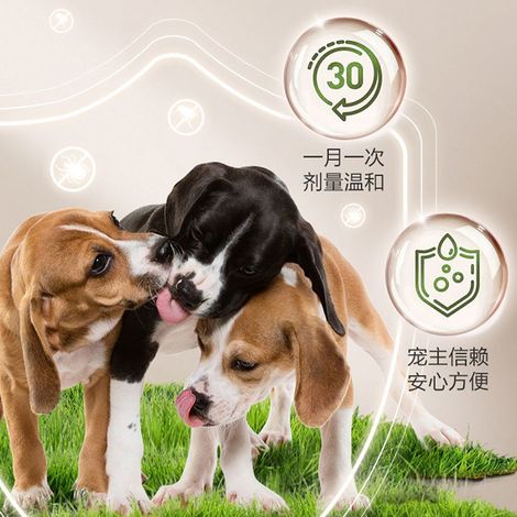 Ohrenreinigungslösung für Haustiere, desodorierend und pflegend für Katzen und Hunde, entfernt Ohrenschmalz und Ohrmilben – 60 ml Ohrentropfen für Haustiere -- DTEKGAZ (1/4)