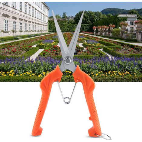 Ciseaux de jardin allongés pour bonsaï et arbres fruitiers oranger robustes (1/5)