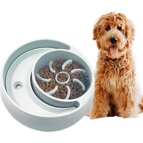 Filiyano-Gamelle anti-étouffement pour chat ou chien (bleue) (1/5)