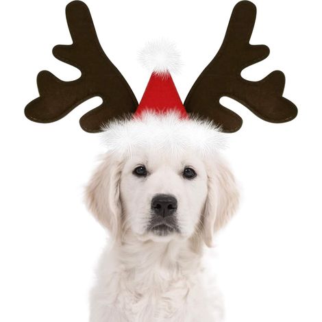 Filiyano-Serre-tête en bois de renne pour chien, Père Noël, chapeau classique en bois de cerf, couvre-chef, déguisements pour animaux, accessoires (1/5)