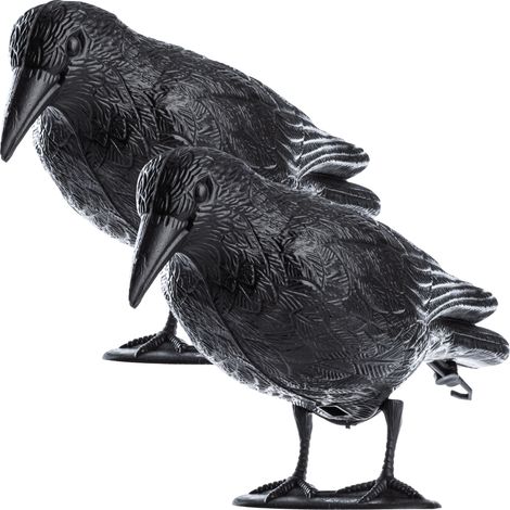 KADAX Repelente de Aves Cuervos, Palomas, Estorninos, Grande, 2 Unidades (1/5)