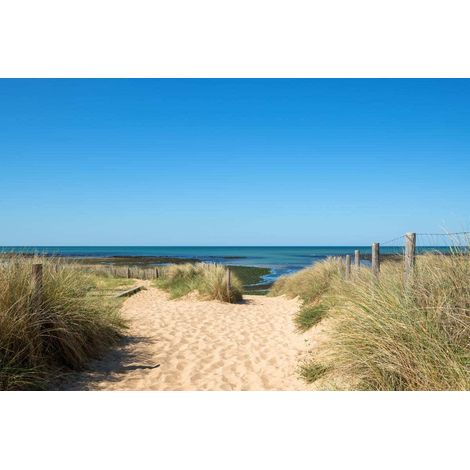 Tableau sur toile Chemin de Plage 30x45 cm - Impression sur Toile Murale Décorative - Image imprimée en HD sur Toile - Toile sur Châssis en Bois FSC - Fabriqué en France