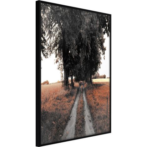 Affiche Murale Encadrée "Field Path" 40 x 60 cm Noir
