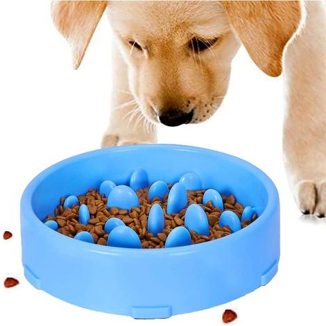 Gamelle d'alimentation Lente pour Chiens, Slow Feeding Conception Anti-dérapante Fun Interactive Nourrir Les Chats et Les Chiens pour Bol, Favorise Une Alimentation Saine(Bleu) (1/5)