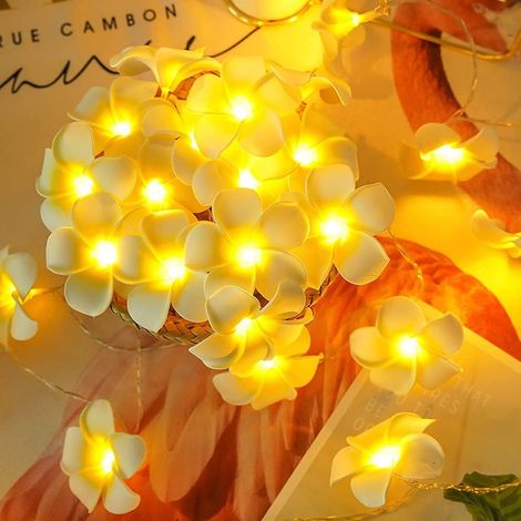 Guirlande lumineuse LED artificielle en forme de fleur de frangipanier - Fleurs de frangipanier hawaïennes en mousse, alimentée par USB, guirlande lumineuse féérique pour chambre, anniversaire, mariag (1/5)