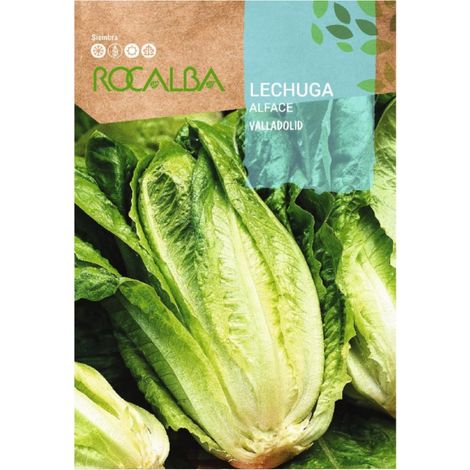 Rokalba Doppels Sommer Curly Escarola 6g