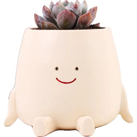 Vasi per piante grasse, mini vasi sospesi, ideali per la decorazione di interni, 34-20 (1/2)