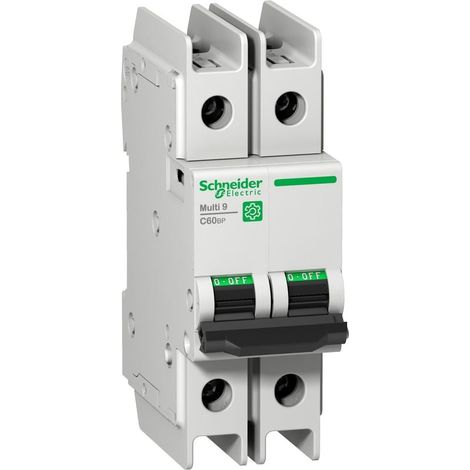 Interruttore bipolare 2P 2A curva D 10kA Schneider - M9F43202