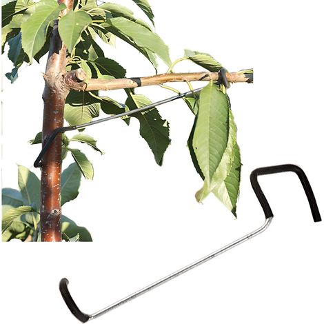 Écarteur de branches pour arbres fruitiers (20 pièces) - Outil neuf en plastique et fil de fer gainé de plastique - N'abîme pas les branches - Permet d'ouvrir l'angle d'ouverture et de plier les branc