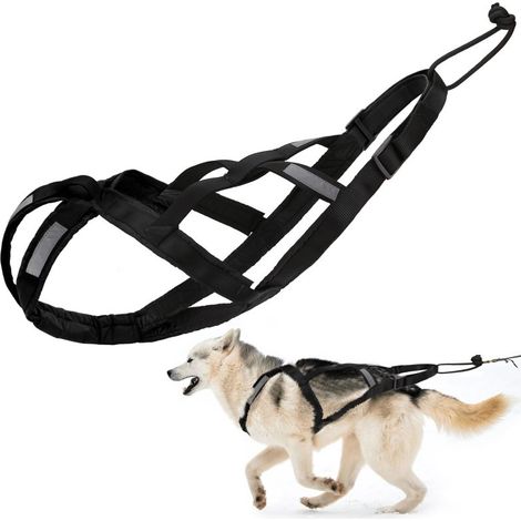 Harnais de traction pour grands chiens, mushing, canicross, ski (1/5)