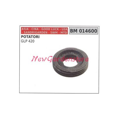 Vite senza fine pompa olio CINA motore potatore GLP 420 014600