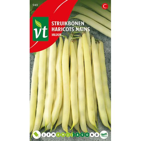 Haricots Nains Valdor - Ca. 50 gr (Livraison Gratuite) (1/2)