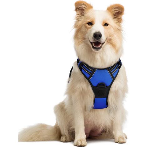 Arnés antitirones para perros - Ajustable - Reflectante - Azul - Talla M (1/5)