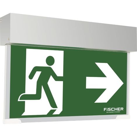 Siblik Notausgangsschild beleuchtet Notausgang LED Fluchtwegschild, 3h Laufzeit (1/3)