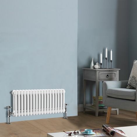300 x 830 mm Traditional White Horizontal Cast Iron Radiator Double Column (1/4)