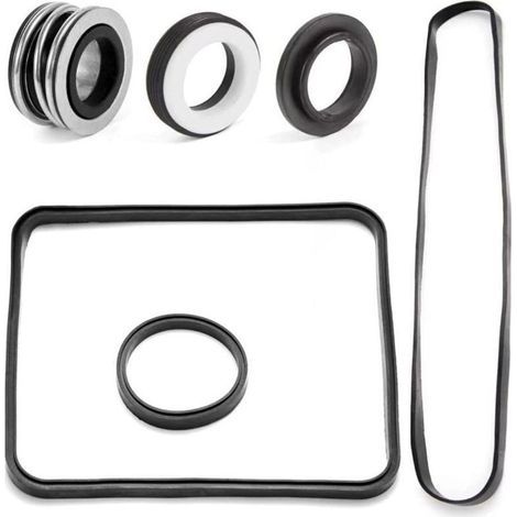 Kit de joints spécifique pour pompes de piscine Hayward, compatible avec les modèles SP2600 et SP1600 (B) (1/5)