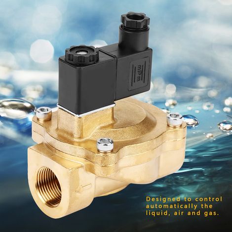 Électrovanne 2V250-20 G3/4 à deux positions et deux voies, à commande pilote, 110 V CA (1/5)