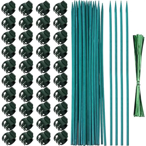 [RM]Tuteurs et clips pour plantes grimpantes de 30 cm, tuteurs verts pour plantes d'intérieur et de jardin, extension du support pour plantes grimpantes (1/5)
