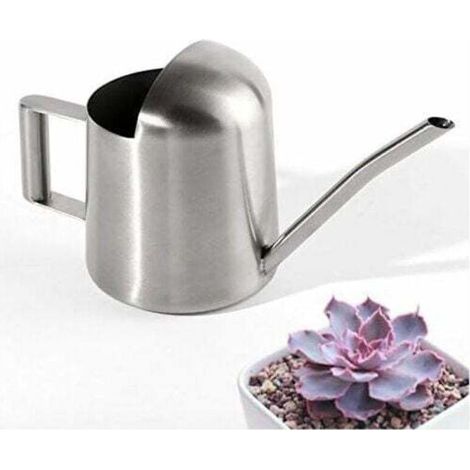 Mini Arrosoir de Jardin en Acier Inoxydable pour la Maison et Bureau Plantes-Fei Yu