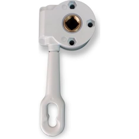 Treuil Store banne - Couleur Blanche, Rapport 11:1 (1/5)