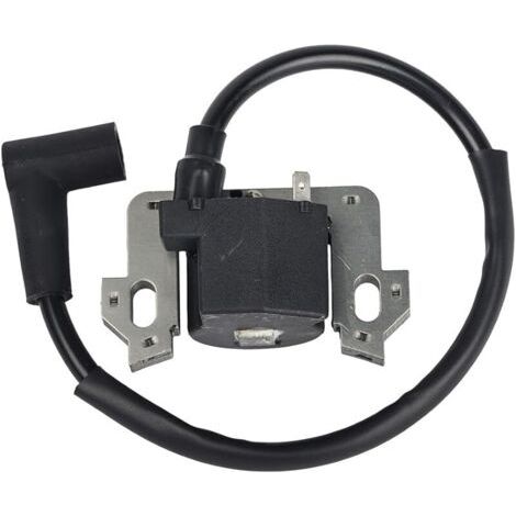 Pair Module de Bobine D'allumage compatible avec Honda GCV135 GCV160 GCV190 GSV160 (1/5)