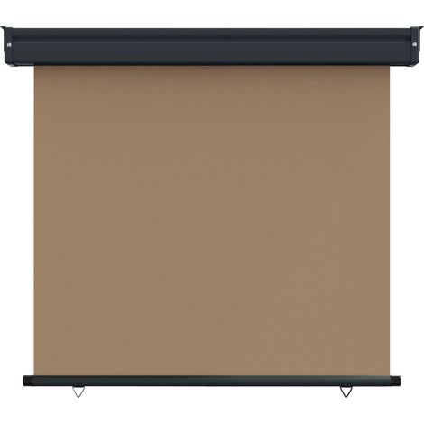 Maison Exclusive - Tenda laterale per balcone 100 x 250 cm (1/5)