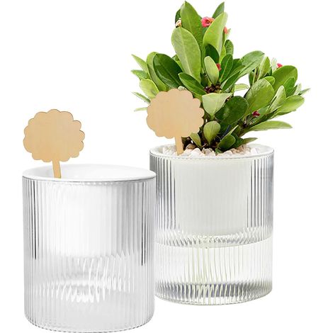 Deux ensembles de pots de fleurs à arrosage automatique, coffret cadeau de plantes d'intérieur ondulées et semi-transparentes avec arrosage automatique. (1/5)