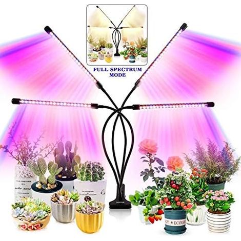 Lampe de croissance pour plantes d'intérieur - Version améliorée avec 80 LED-AquaForge (1/5)