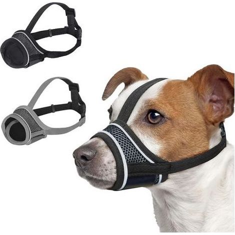 Muselière pour Chien 2 Pièces, Muselière pour Petits Chiens de Taille Moyenne, Muselière pour Chien en Maille Douce et Respirante, Anti-Mastication, Aboiement (1/5)