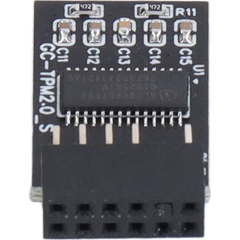 Module TPM 2.0 LPC SPI 12 broches, carte de sécurité de cryptage à distance, accessoire pour GIGABYTE (1/5)
