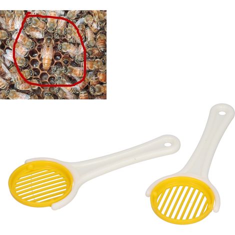 Set mit 2 tragbaren Königinnenkäfigen aus Kunststoff, Imkereizubehör für den Außenbereich (1/5)