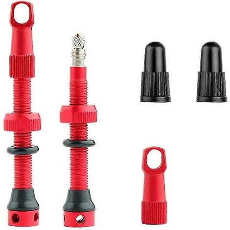 Valves et tiges de valve légères pour pneus tubeless de vélo jantes en alliage d'aluminium structuré RED2. (1/5)