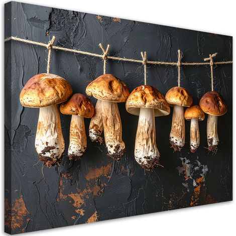 Stampe su Tela, Funghi porcini secchi, 30x20 (1/5)