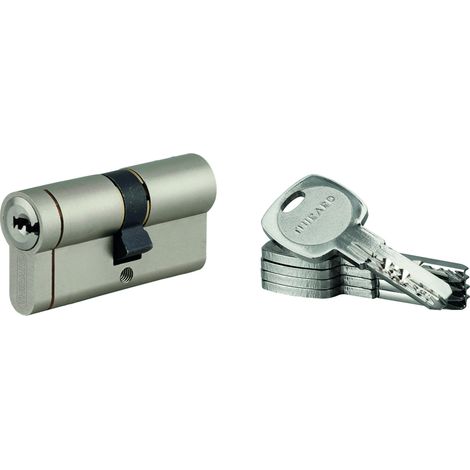 THIRARD - Lot de 10 cylindres Transit 1 30x35mm, nickelé, 5 clés - THIRARD
