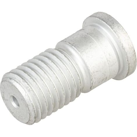 Tornillo D25/20x39/43,5-M20 LEMKEN 3018218