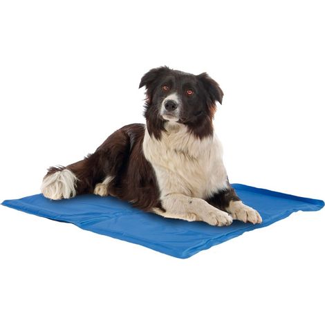Tappetino refrigerante e spugna all'interno Fresh per cani e gatti: 90x50 cm Blu
