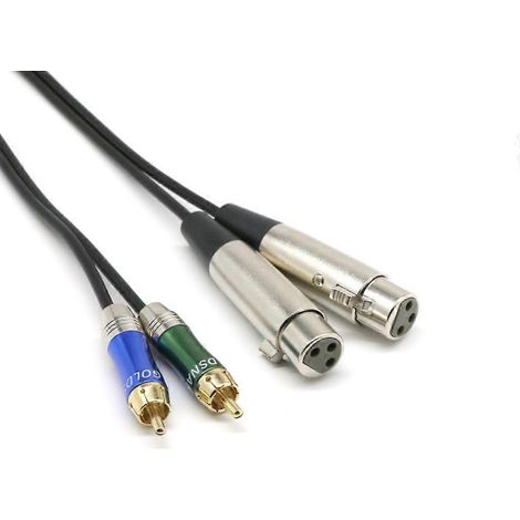 Câble adaptateur de connexion XLR double femelle vers RCA mâle (30 cm) (1/5)