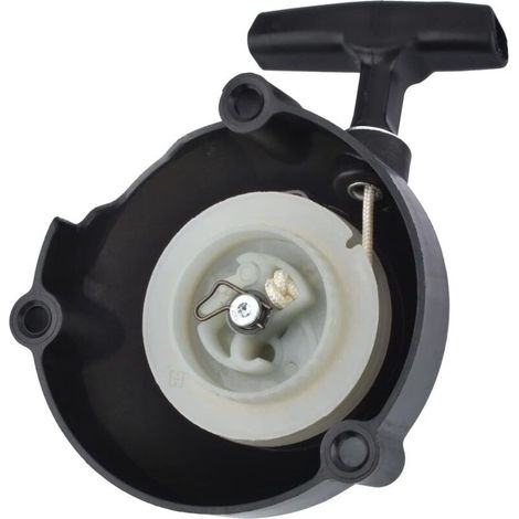 Démarreur à Rappel pour Stihl BR600 BR500 BR550 Souffleur de Feuilles, Référence 4282 190 0303 (1/5)