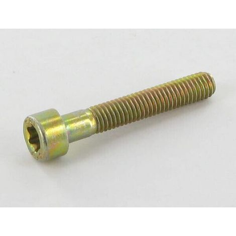 Tornillo ALP2135050 ALPINA ALP2135050